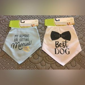 🐕Dog Bandana for Celebration🐕